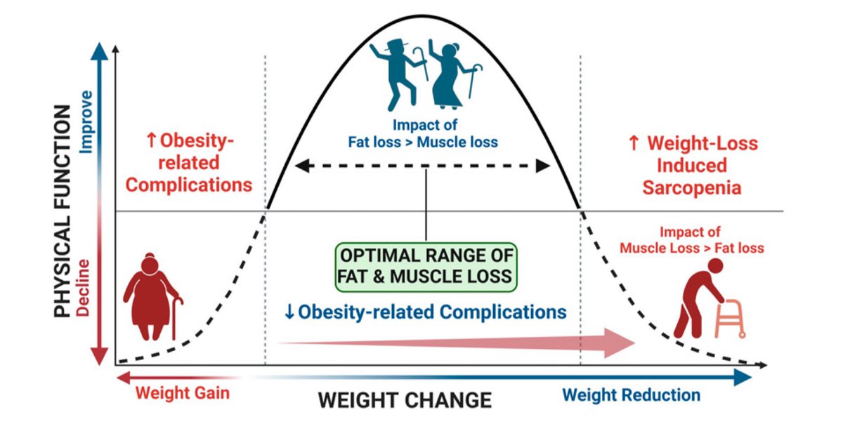 Daniel J Drucker (@danieljdrucker) on Twitter photo GLP-1 medicines in the elderly. From sarcopenic #obesity and frailty to promising intervention for healthy #Aging #Healthspan #Geroscience The evidence gap is substantial diabetesjournals.org/diabetes/artic… <a href="/Diabetes_ADA/">Diabetes, a research journal of the ADA 🧪</a> GLP-1 medicines in the elderly. From sarcopenic #obesity and frailty to promising intervention for healthy #Aging #Healthspan #Geroscience The evidence gap is substantial diabetesjournals.org/diabetes/artic… <a href="/Diabetes_ADA/">Diabetes, a research journal of the ADA 🧪</a>