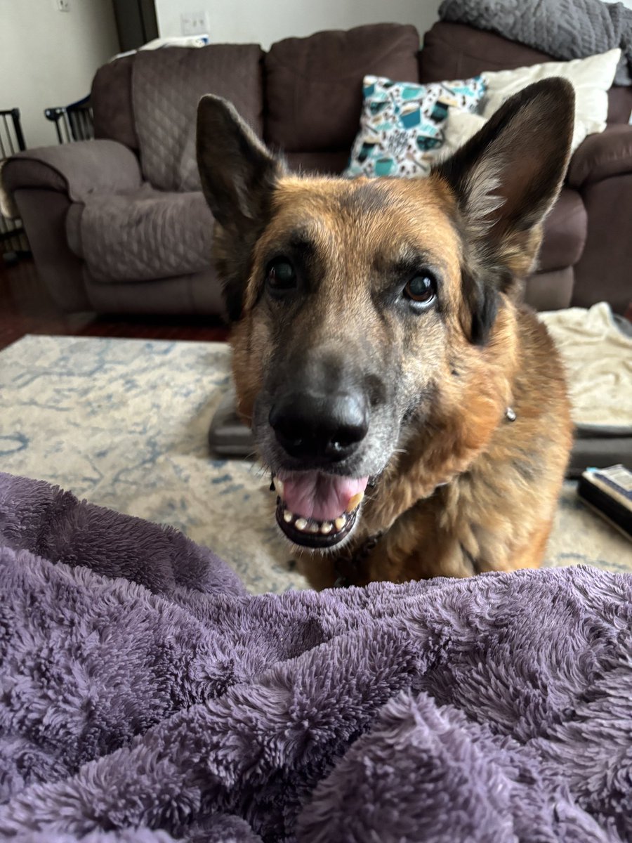 Tempest is super excited for the new season of #OPLive <a href="/danabrams/">Dan Abrams</a>