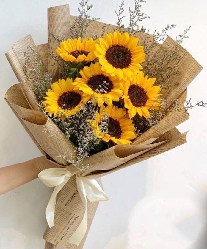 Sunshine delivered