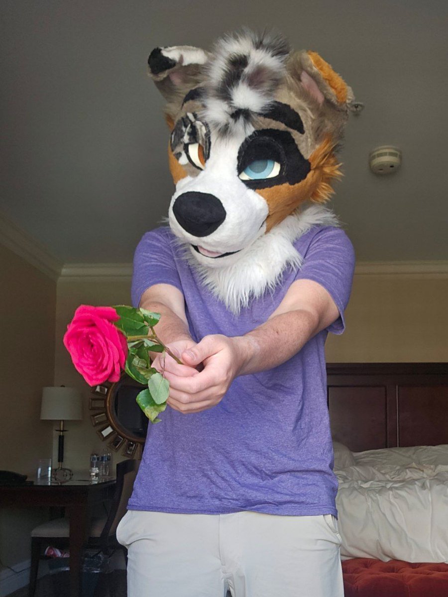 #fursuitfriday romantic edition 🌷

Taken at AC!