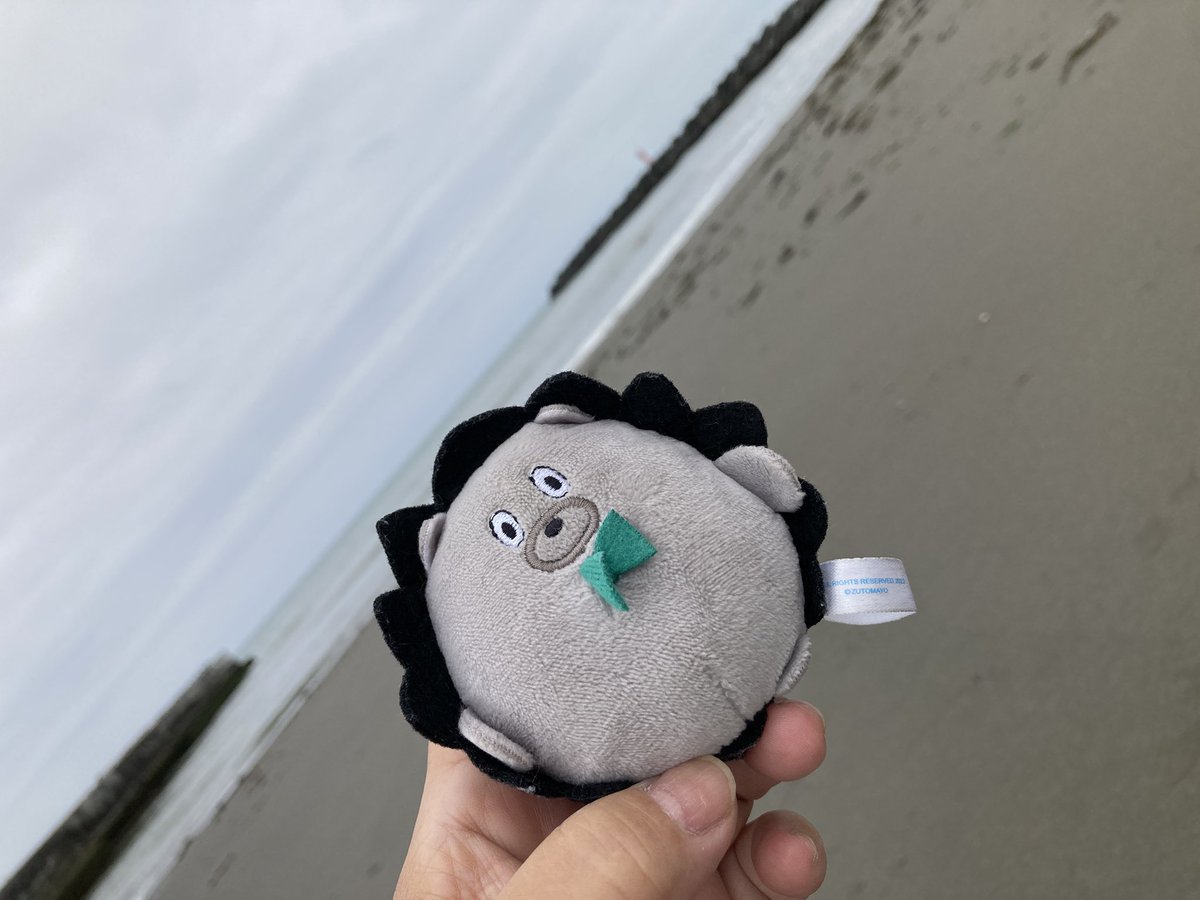 お墓参りも終わったので、うにぐりくんと初海辺来ました