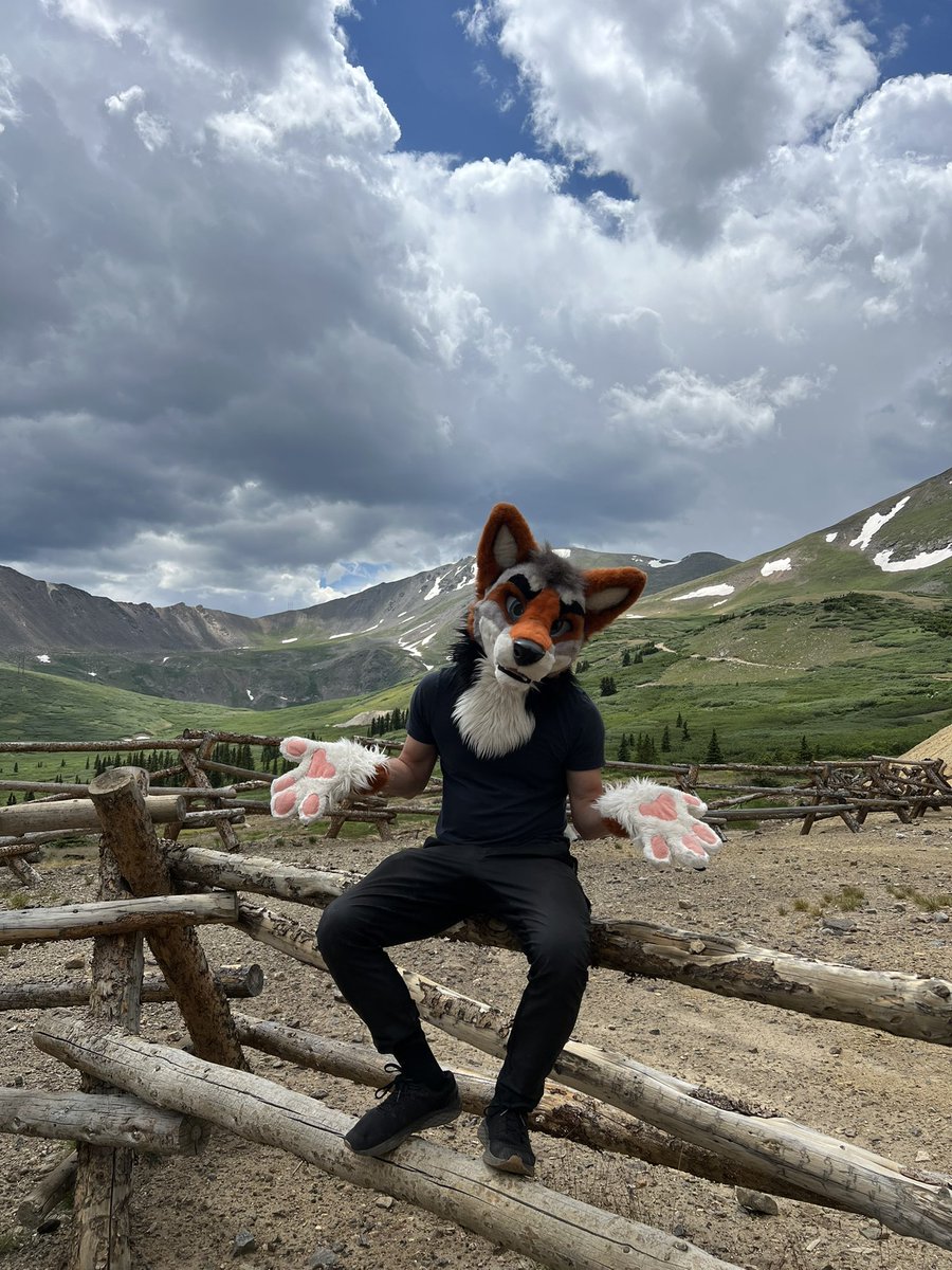 bluecoyote's tweet image. Dont blame me, its called a bash plate for a reason