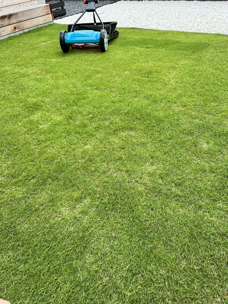 okap_8114's tweet image. ｼﾊﾞｶﾘ