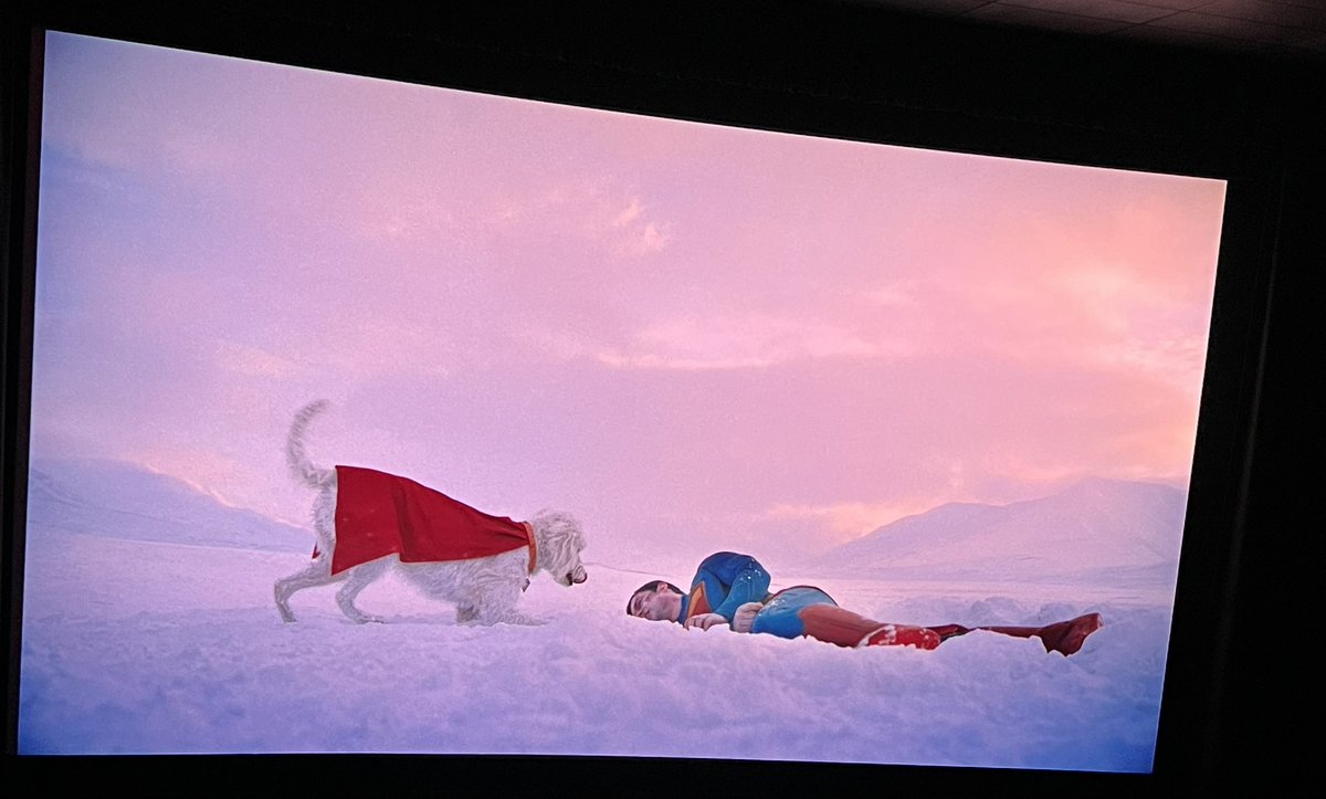 JaredmChavez's tweet image. Superman with the fam
