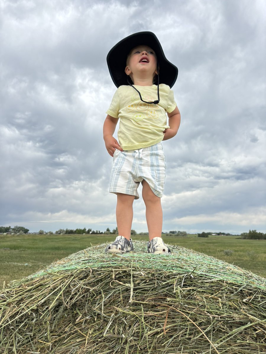 Summer fun with Weston!
.
.
.
#debruyckercharolais #farmkids #hay #SummerVibes #summer2025