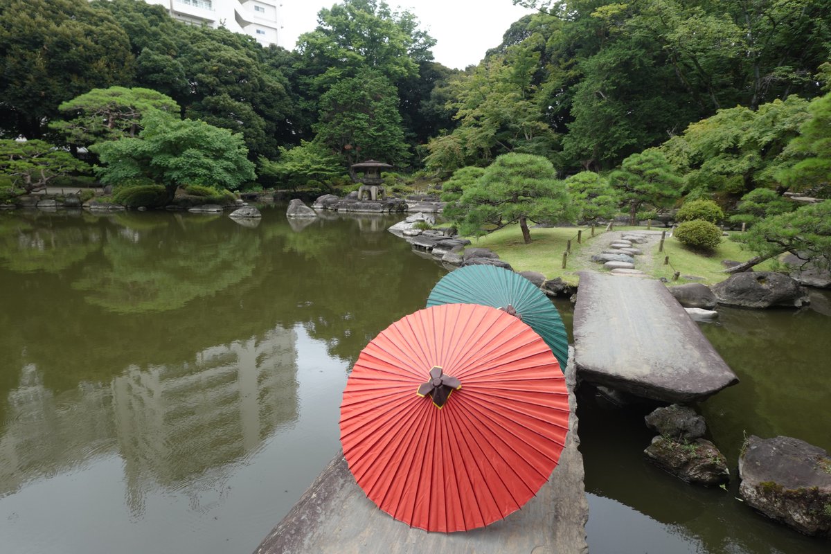 【中古】 国際庭園の謎 旧古河庭園 on X: 