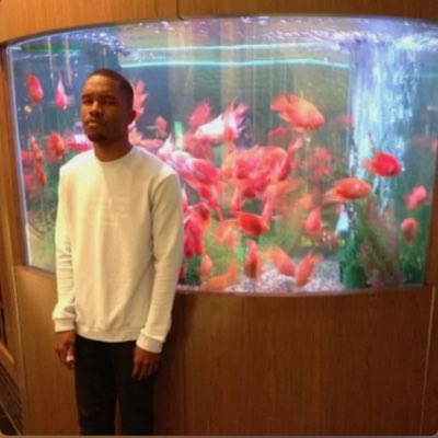humanflyyy's tweet photo. #NewProfilePic https://t.co/H0jqK3iWe2