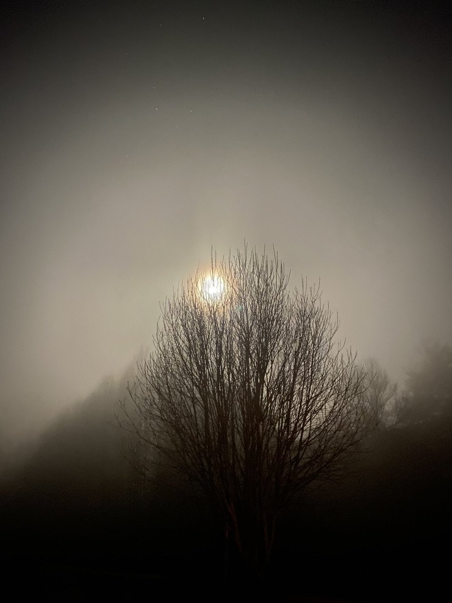 Luna (casi) llena &amp; neblina en la Araucanía