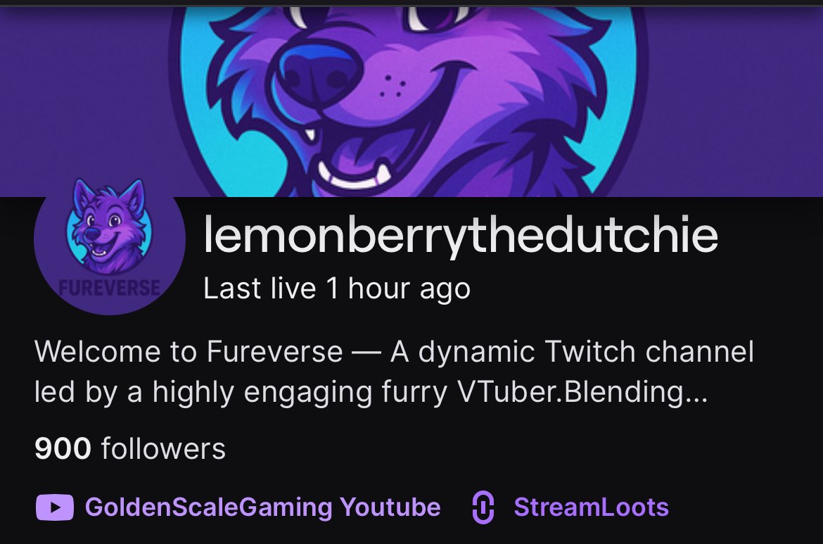 We fit it bean I’m so proud that this amazing community finally hit 900 followers on twitch after 2 years of hard work love you all here’s to the push for 1k #furry #twitchaffiliate #vtuber #varietystreamer #LGBTQfriendly