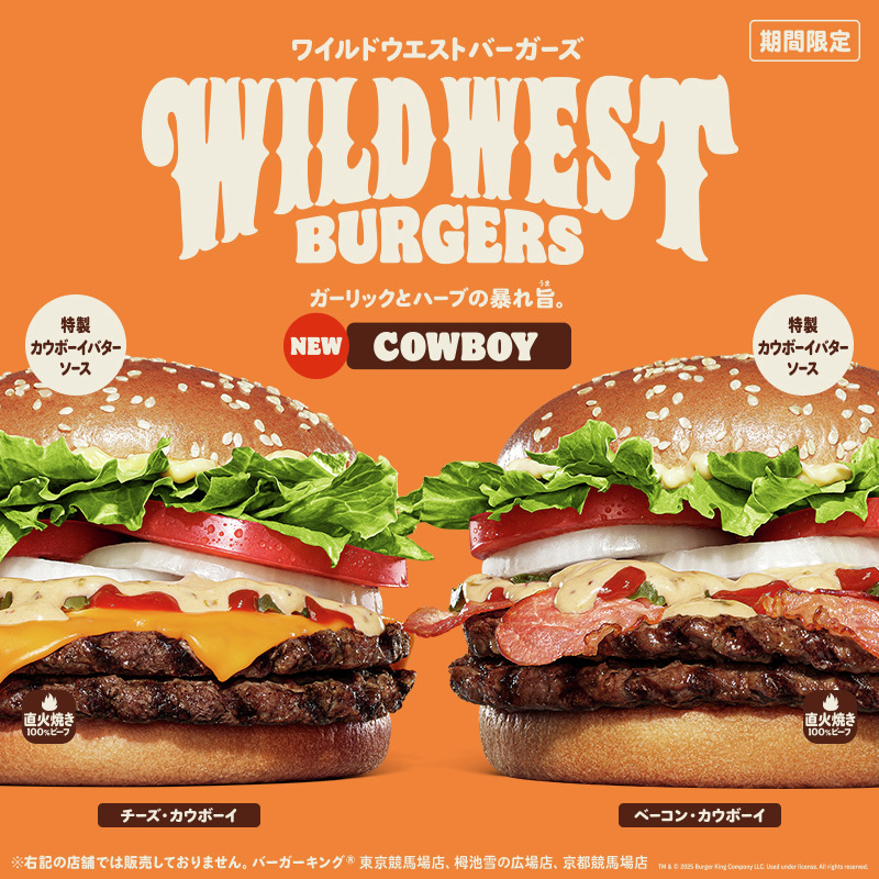マクドナルド　バーガーキング　23点まとめ売り マクドナルド バーガーキング 23点まとめ売り バーガーキング
