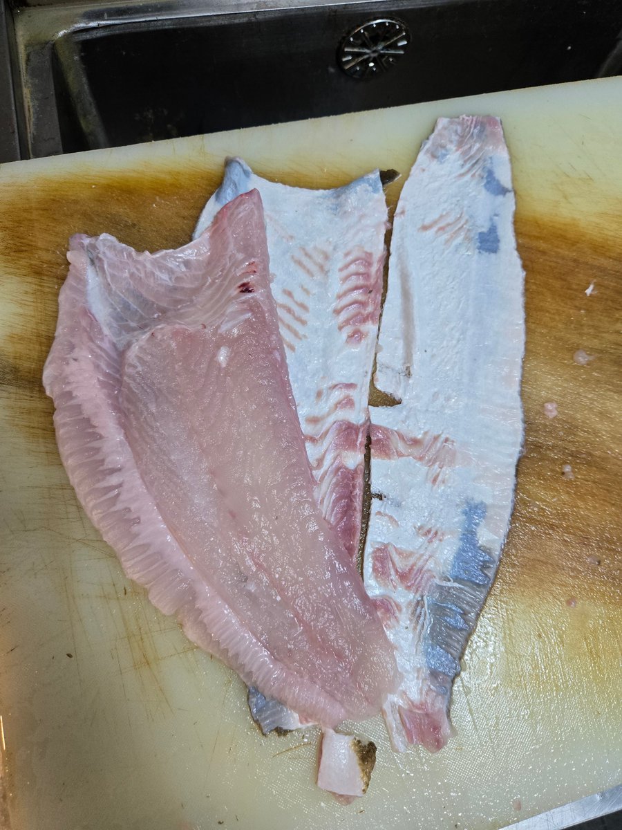 *생선 나체 주의
오늘 홈파티를 위해 광어 잡음 🐳
이석은 좋겠다 우리집 올 때마다 맛있는 거 주고 ~