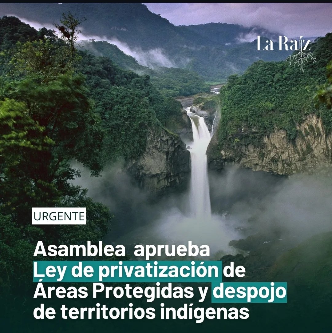 LucioRayza's tweet photo. La privatización de zonas protegidas transfiere su control a privados.
Puede mejorar la gestión y atraer inversión.
Pero también amenaza el acceso público, la biodiversidad y los derechos de comunidades.
Solo funciona si hay control, regulación y justicia ambiental. @negro475 https://t.co/UzSEjimOL3