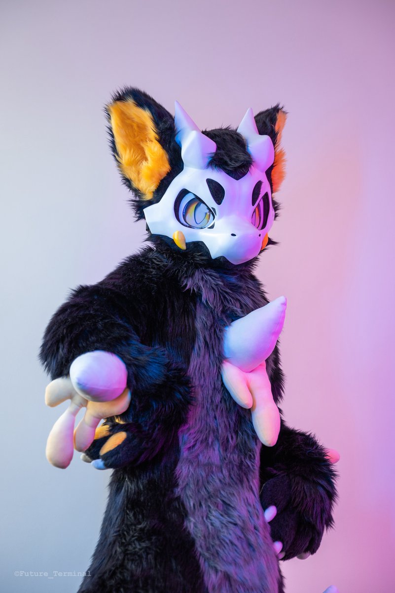 QDHfur's tweet image. 小煤球
📸：@Future_Terminal 
#FursuitFriday