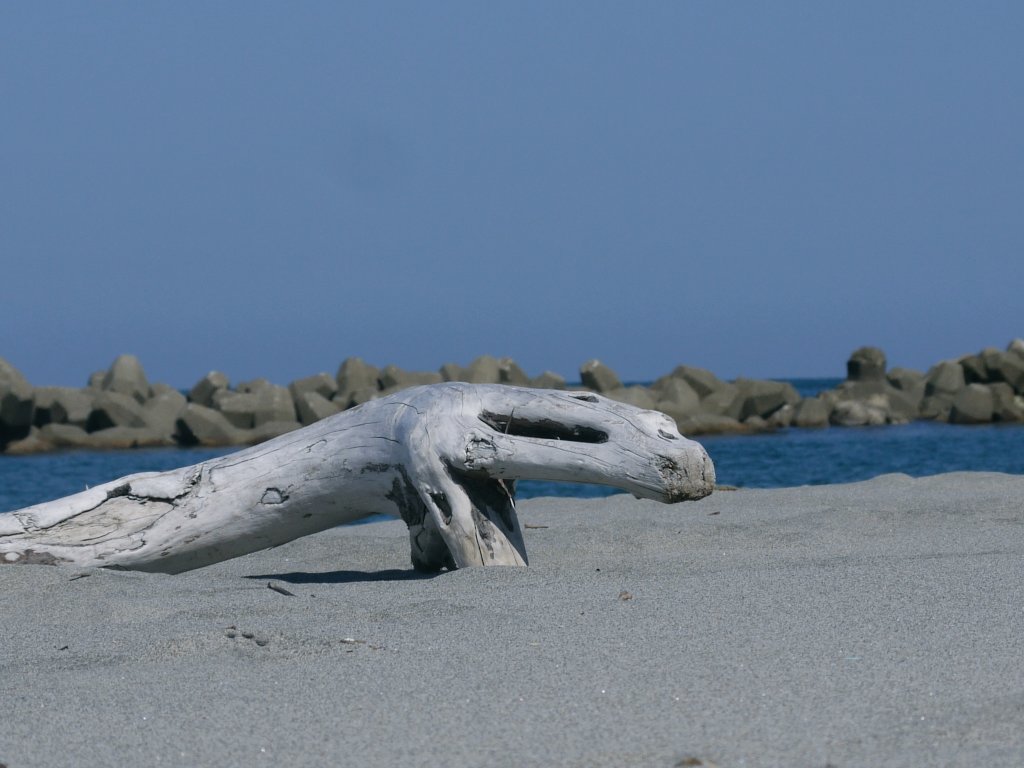 おーす (@authorizingauth) on Twitter photo 