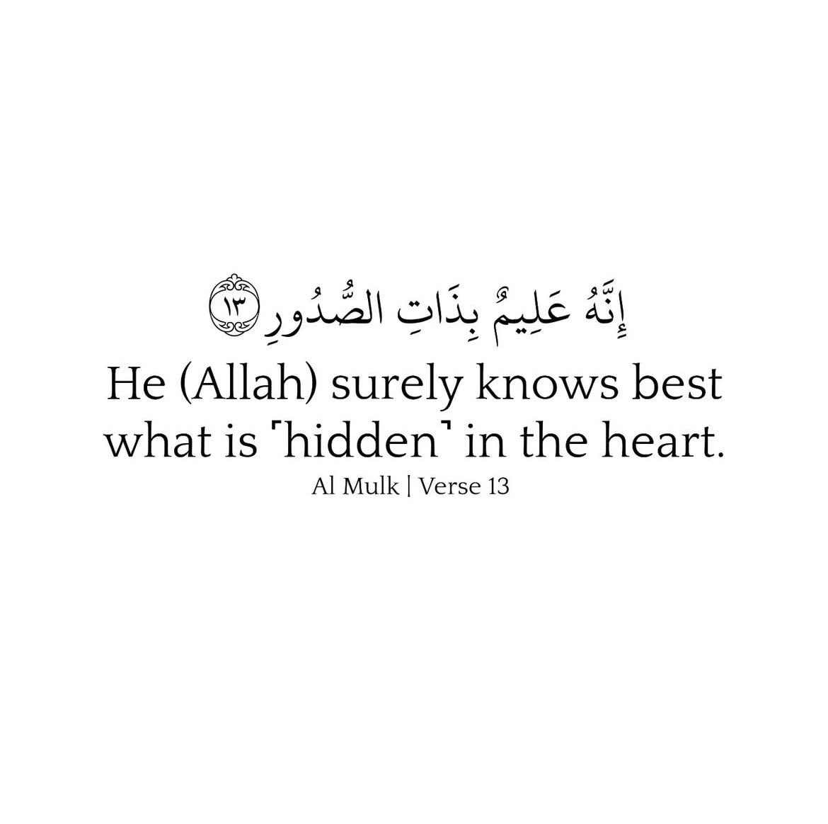 Soldier Of Allah tweet media