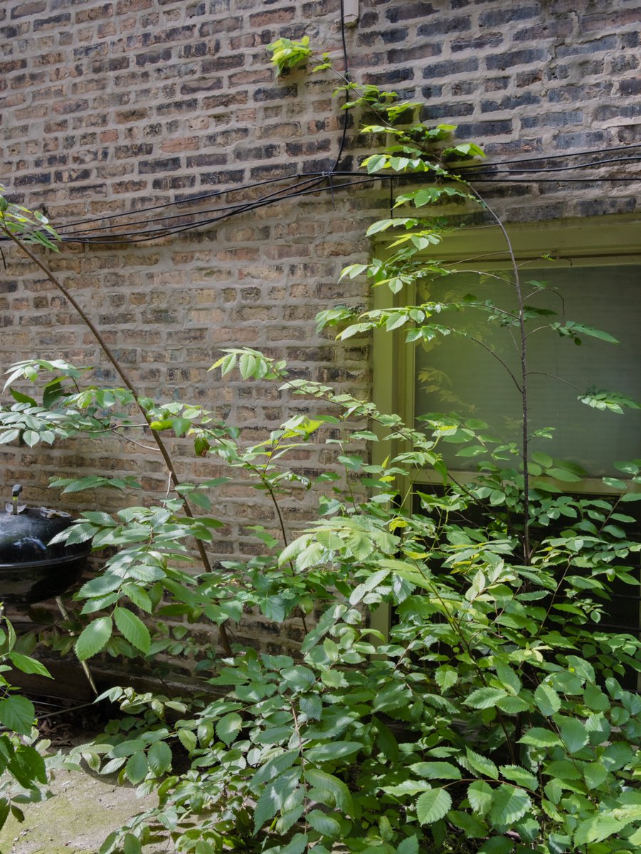 Mack (@regularmack) on Twitter photo 