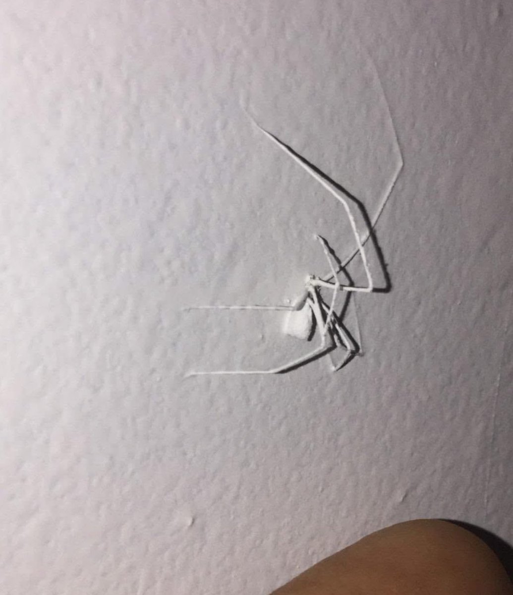 Landlord don’t give a fuck!