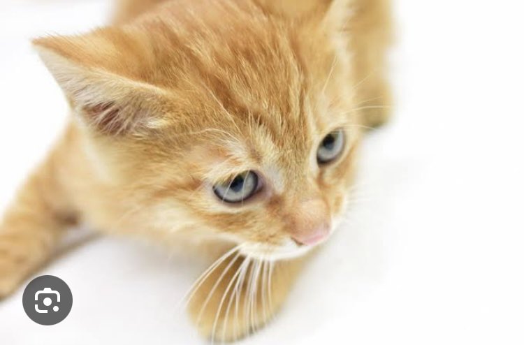 ことね🌠＠ダイエット中🙌 (@prudy1813645) on Twitter photo 