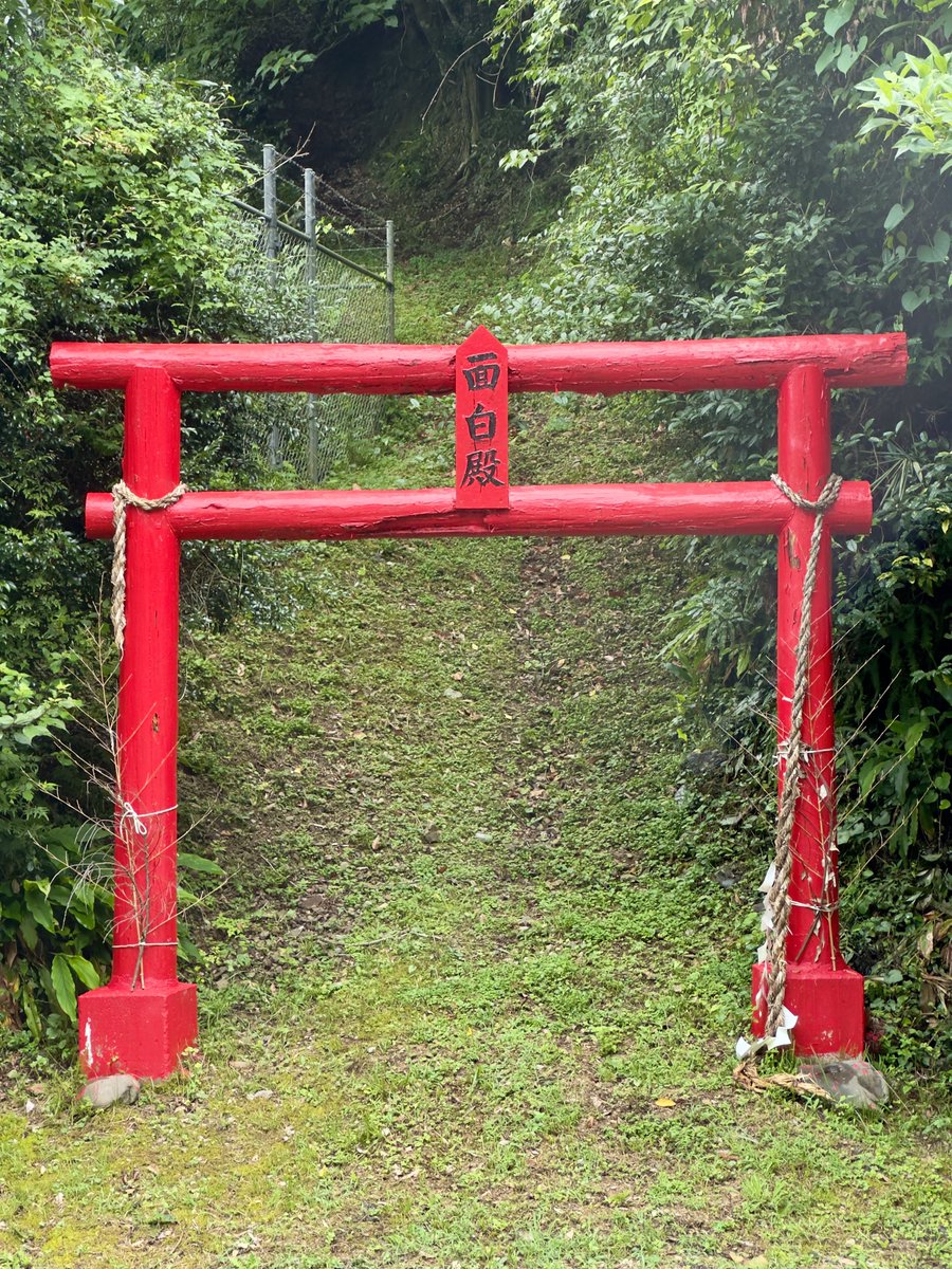 2025年7月12日ツイート | イイツイ