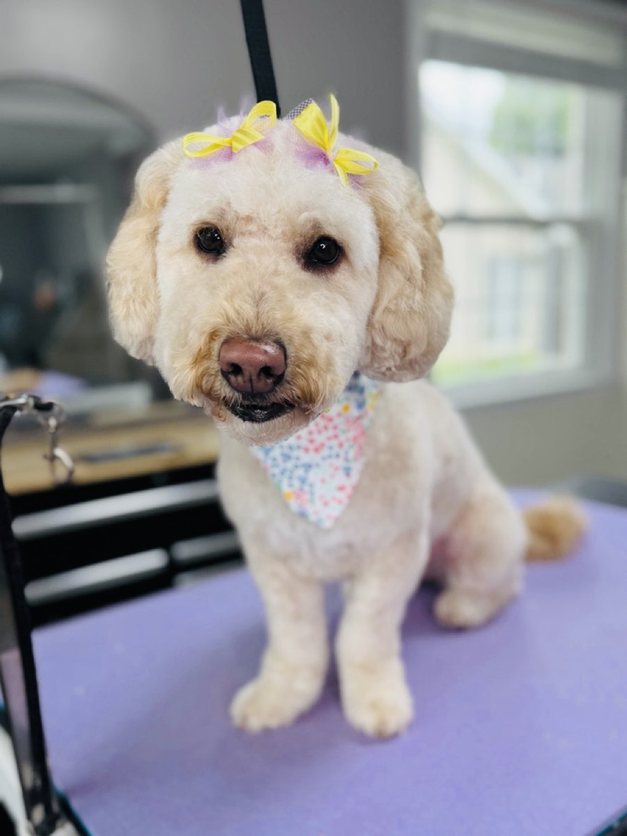 Mark Harman tweet media