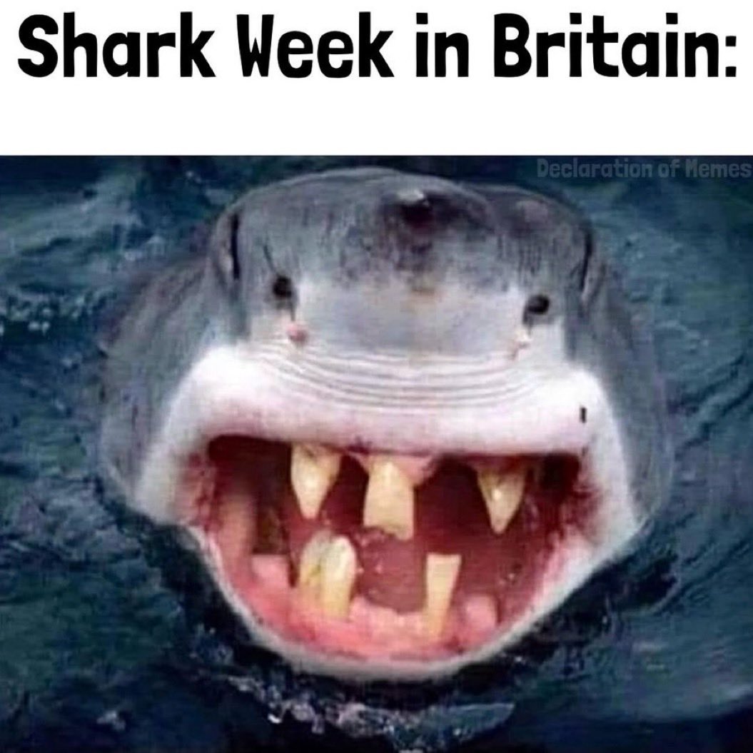 Europe is so fn weird