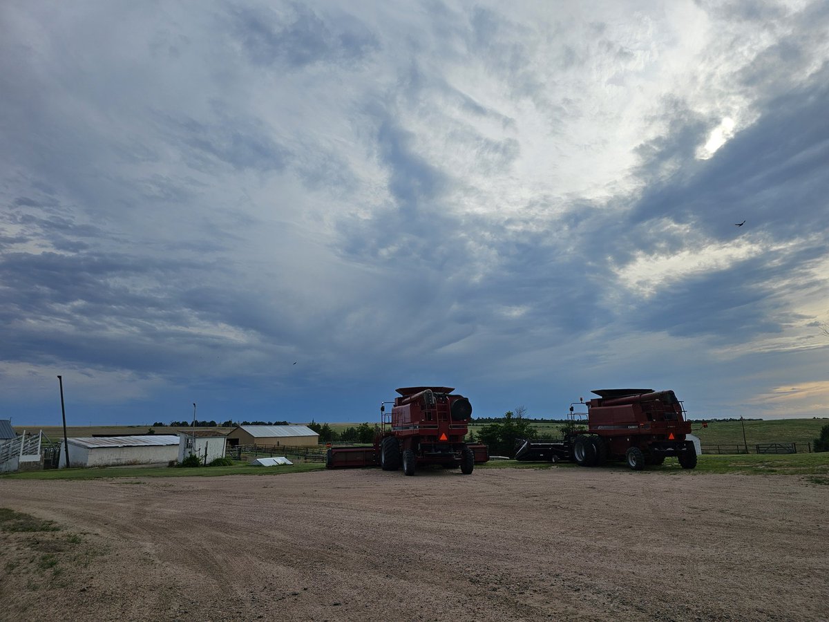 #wheat is too wet to cut,  so baseball game it is!
