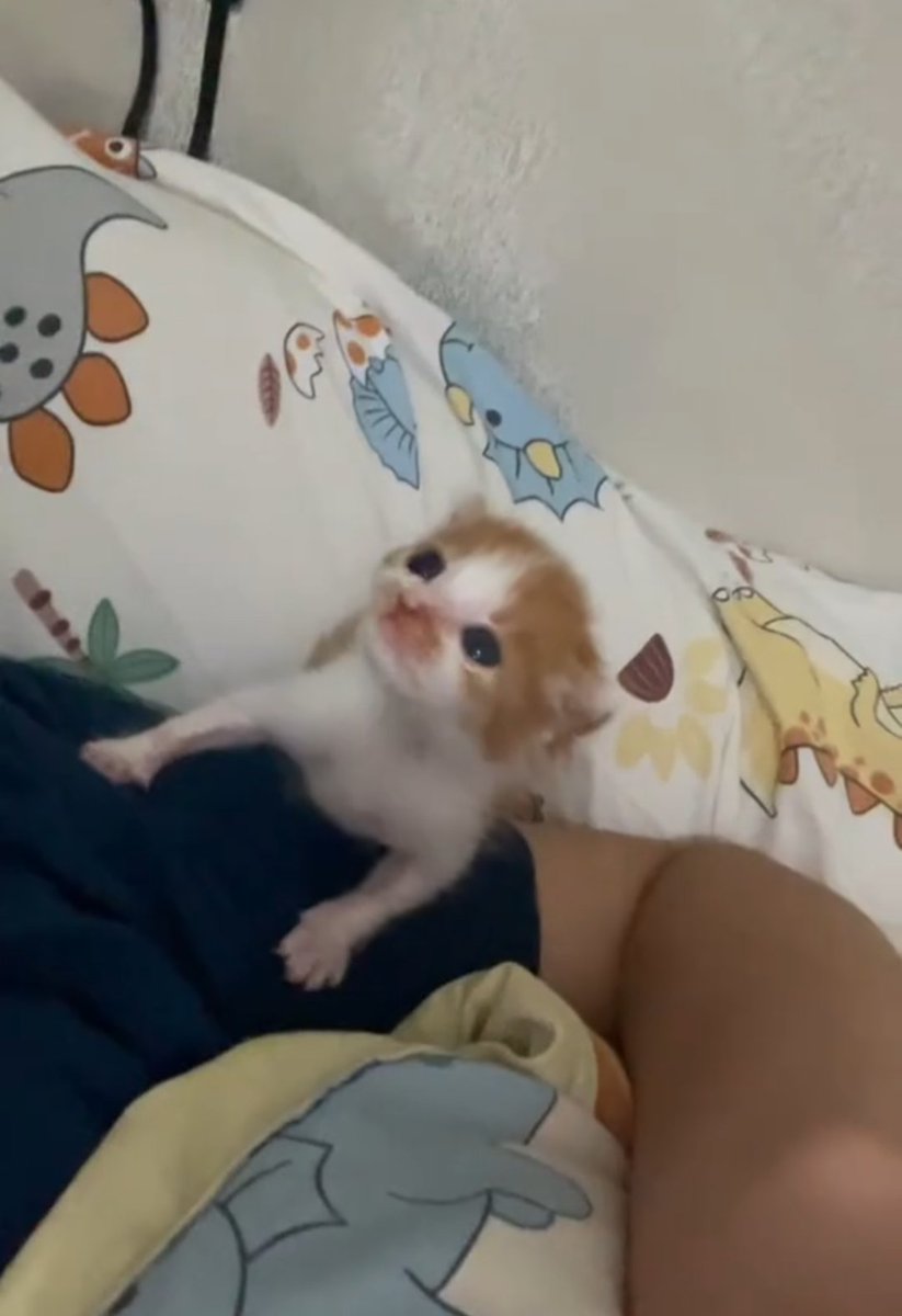 nice to feet you i mean nice to feet u sorry i mean nice to feet you erm nice to feet you guhhg