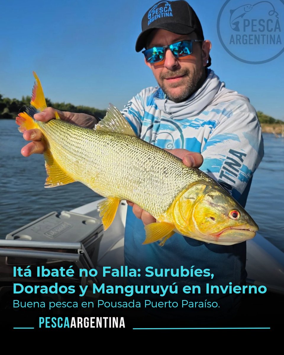 💣 Itá Ibaté no Falla: Surubíes, Dorados y Manguruyú en Invierno.

🚨 gran pesca junto a <a href="/puertoparaiso/">PosadaPuertoParaíso</a>

👉🏻La nota acá: pescaargentina.com.ar/noticia/ita-ib…

🎣 <a href="/sergiorevillaar/">Sergio Revilla</a>
🎣 <a href="/ezequielfusero/">Ezequiel Fusero</a>

#pesca #pescaargentina #pescadeportiva