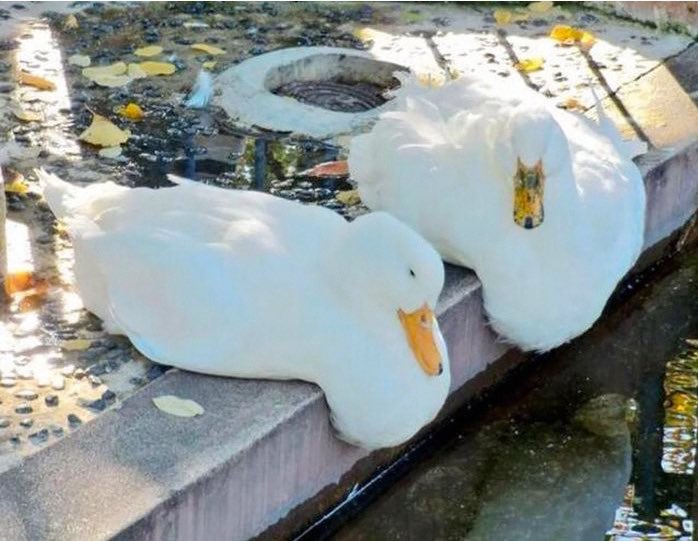 AgathaChocolats's tweet image. In six words or fewer, write a story about this photo.
#sixwordstory #WritingCommunity