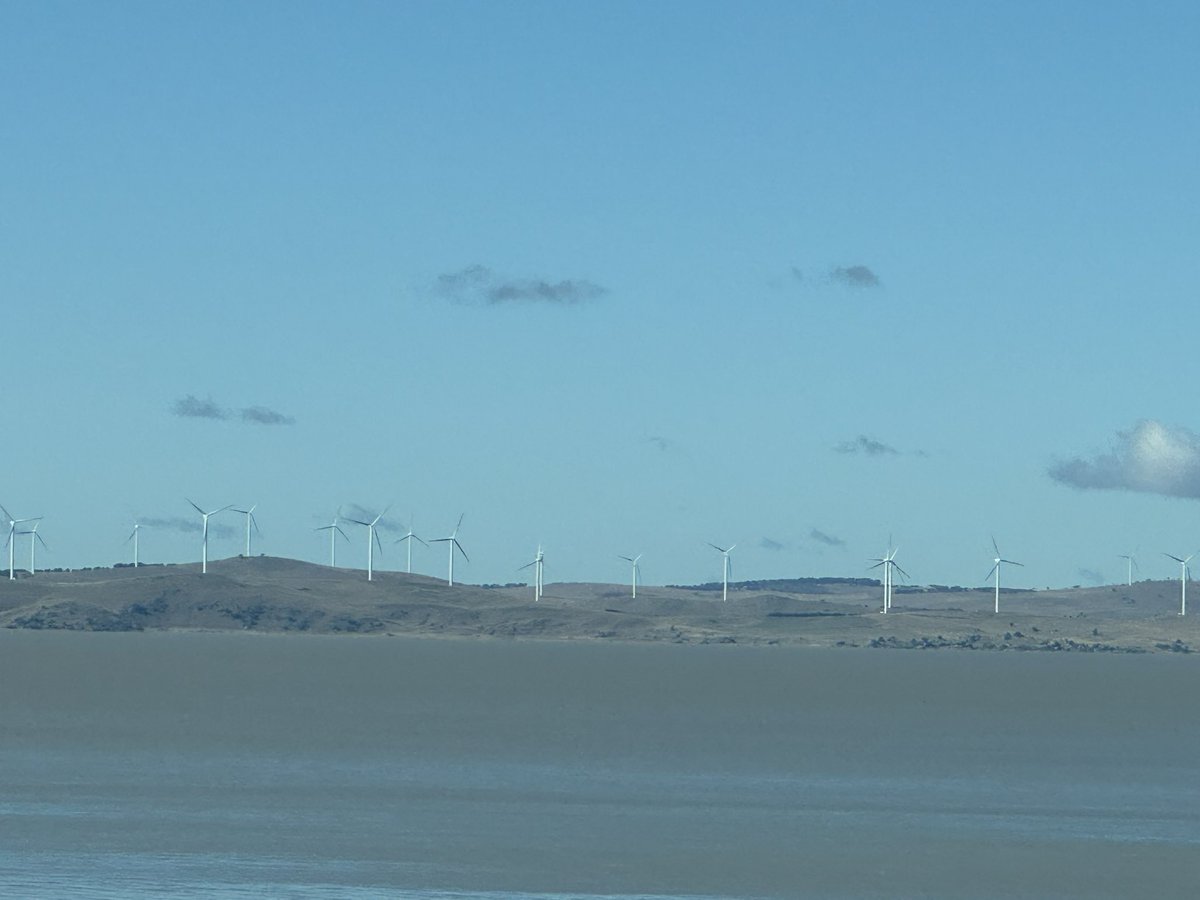 Katherine Deves Morgan 🇦🇺🚺 tweet media