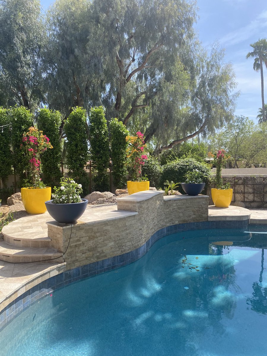 AliceMartin8's tweet image. Designed for plants that refuse to settle for less. #gardenglowup #leafittome #potitlikeitshot