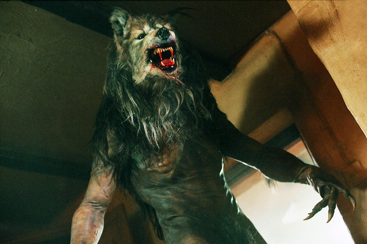 💚Sarah Sinn aka Mrs. Herbert West 💚 (@sinnful_redhead) on Twitter photo One of my favorite aspects of this movie is that, instead of using stunt people for the werewolves, they used dancers. They wanted the werewolves to move with grace and elegance and fluidity.
<a href="/kinky_horror/">Diana “Darcy the Mail Girl” Prince 🤠💌</a>
<a href="/SetDarcyFree/">Darcy T. Mailgrrrl</a>
<a href="/therealjoebob/">Joe Bob Briggs</a>
<a href="/RadioParfait/">Austin Jennings</a> One of my favorite aspects of this movie is that, instead of using stunt people for the werewolves, they used dancers. They wanted the werewolves to move with grace and elegance and fluidity.
<a href="/kinky_horror/">Diana “Darcy the Mail Girl” Prince 🤠💌</a>
<a href="/SetDarcyFree/">Darcy T. Mailgrrrl</a>
<a href="/therealjoebob/">Joe Bob Briggs</a>
<a href="/RadioParfait/">Austin Jennings</a>