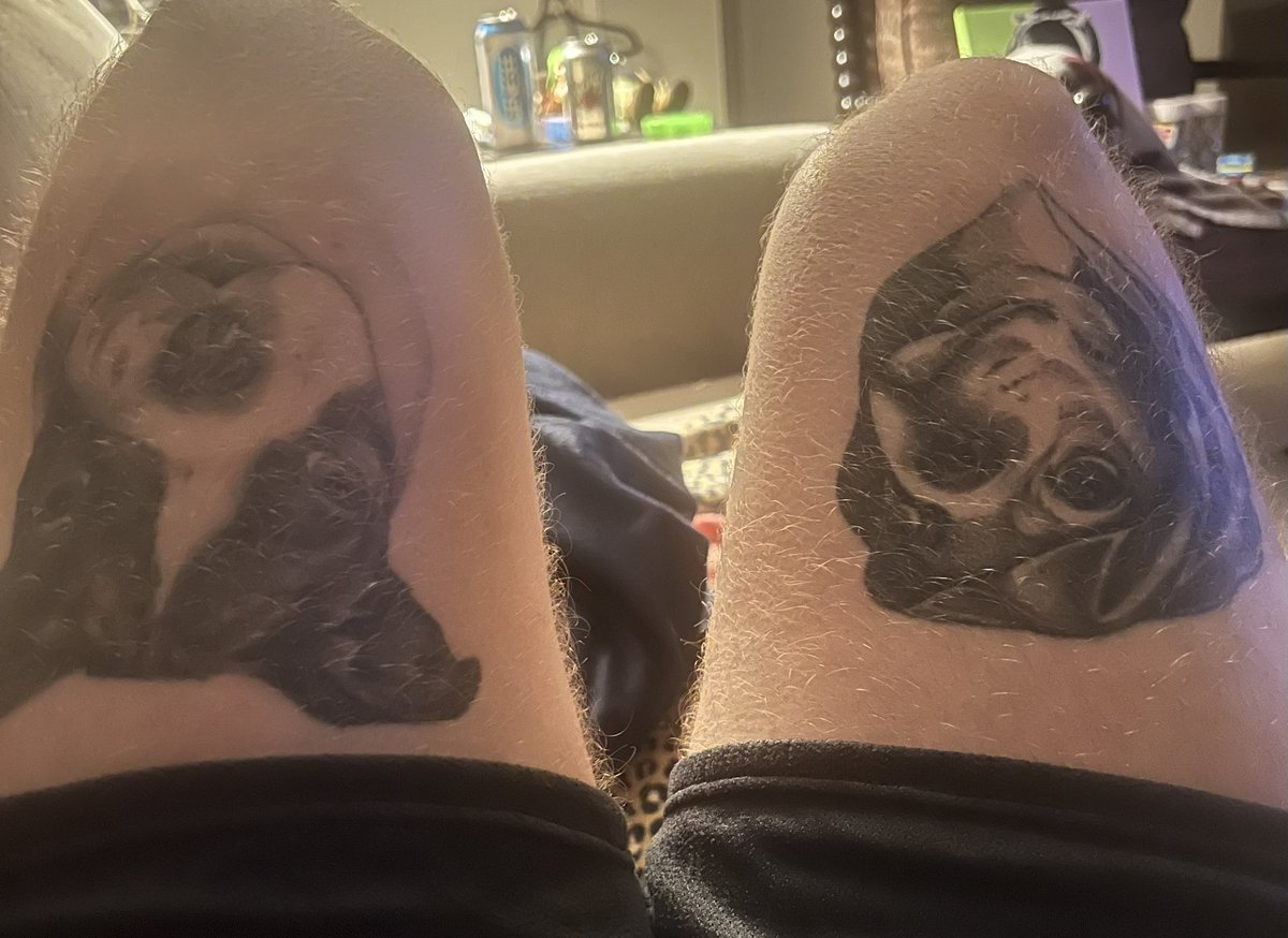 Had to let these dogs out for the occasion 

#TheLastDriveIn 
#MutantFam 
#FFBMovieNight