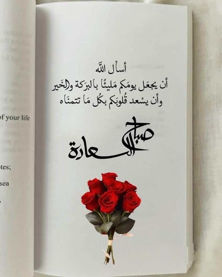 اللهم إنا نسألك رحمة تهدي بها قلوبنا، وتجمع بها شملنا، وتصلح بها أحوالنا، وتُسعد بها أيامنا يا رب العالمين🌸💖

#صِبّــآحً_آلَخٌــيّر_وِآلَسًعَـــآدُهِ #صِـبّـآحً_آلَأشّــيّآء_آلَمِشّـرقَـة
#اقتباسات