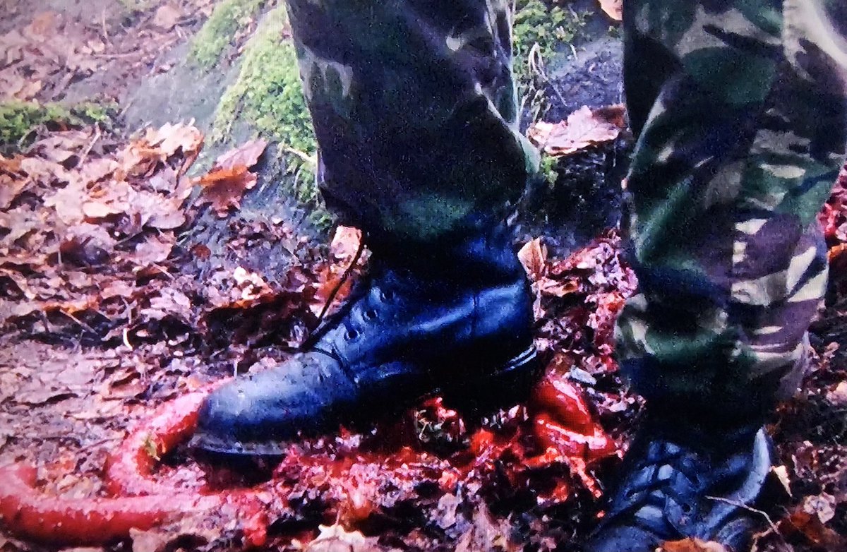 Guts on the ground is NEVER a good sign. #TheLastDriveIn #DogSoldiers