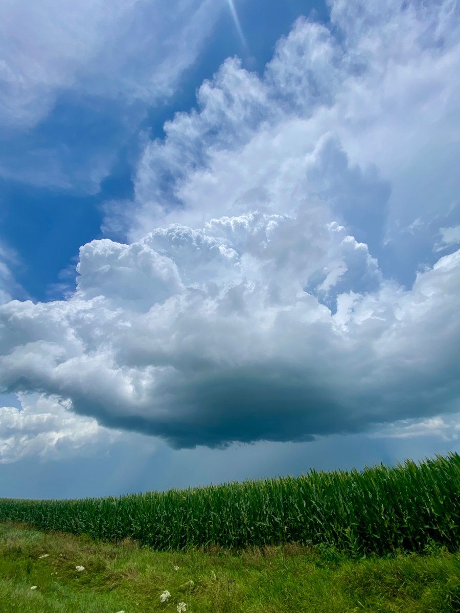 Chase_RobWX's tweet image. Great chase day today, storm near Morning Sun was cranking for a moment but didn’t end up producing. Great structure though nonetheless!
#iawx