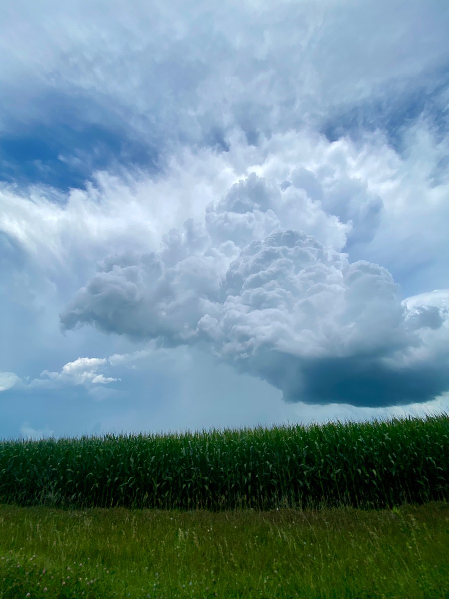 Chase_RobWX's tweet image. Great chase day today, storm near Morning Sun was cranking for a moment but didn’t end up producing. Great structure though nonetheless!
#iawx