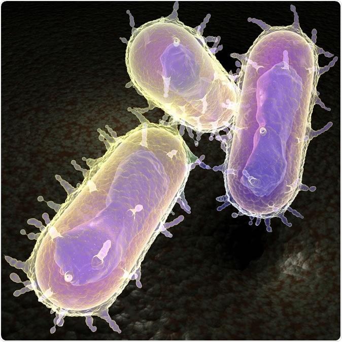 ⚠️ BREAKING: 

US Resident Infected With Severe Form of Bubonic Plague Dies

The same bubonic plague that killed millions of people in Europe during the Middle Ages.