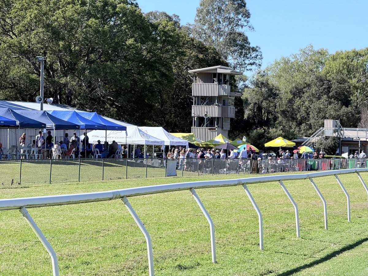 Daiki Chujo (中條 大輝) tweet media