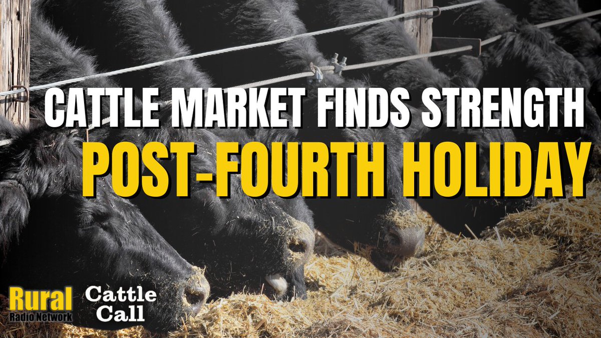Cattle Call: Cattle market finds strength post-holiday, but headwinds remain dlvr.it/TLsy6L