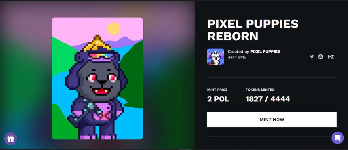 Kyyyyyyy. (@kyyyyyyy_01) on Twitter photo For those who haven't minted Pixel Puppies Reborn yet, mint now for only 2 POL. There are still some with great traits, you might get lucky support! <a href="/pixelpupp/">Pixel Puppies | Reborn</a> 🥰
Here's a Official Link: launchpad.heymint.xyz/mint/pixelpupp… For those who haven't minted Pixel Puppies Reborn yet, mint now for only 2 POL. There are still some with great traits, you might get lucky support! <a href="/pixelpupp/">Pixel Puppies | Reborn</a> 🥰
Here's a Official Link: launchpad.heymint.xyz/mint/pixelpupp…