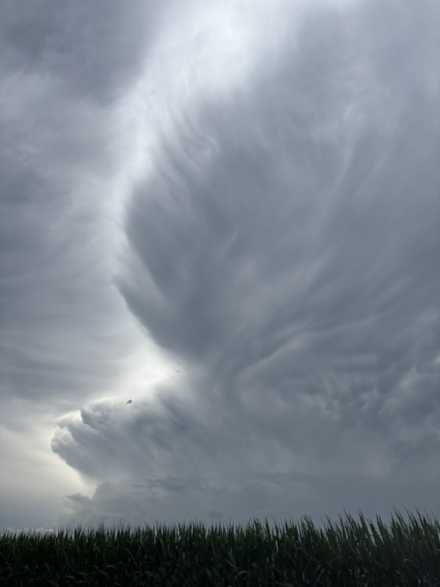 CalebIsChasin's tweet image. Bust day but got insane structure! Felt great being out with the team again.
#teamvortex