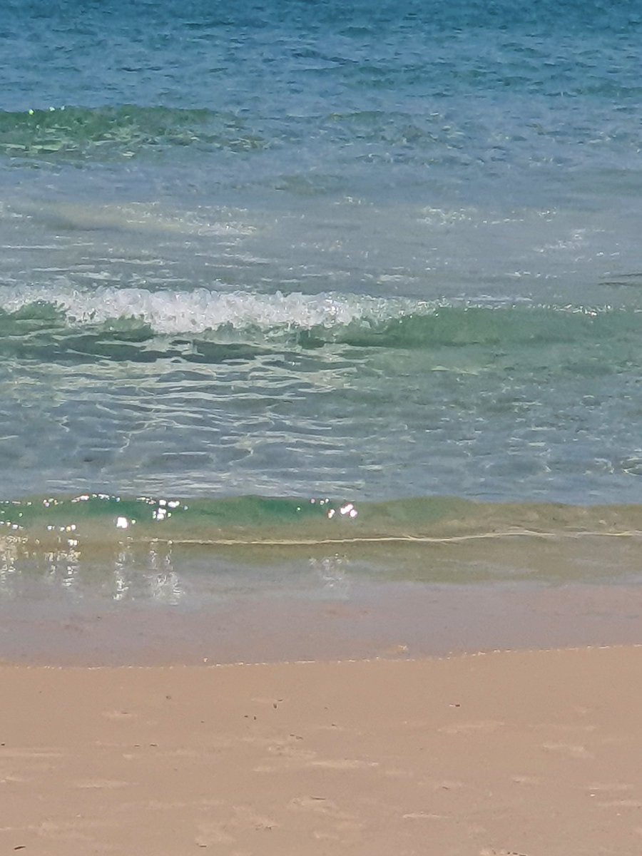 MorLilly (@morlillynft) on Twitter photo Gm dollies. Gm X. 🌸💜
Yesterday I hit the beach and had some relaxing time. Today I plan to hang out with my dollies and chill under the AC. 😝
What are your weekend plans?
Have a great weekend, everyone! 🥳
<a href="/LunardollzNft/">✨The LunarVerse ☄️</a> $Solana #NFTs #BeachVibes 💎 Gm dollies. Gm X. 🌸💜
Yesterday I hit the beach and had some relaxing time. Today I plan to hang out with my dollies and chill under the AC. 😝
What are your weekend plans?
Have a great weekend, everyone! 🥳
<a href="/LunardollzNft/">✨The LunarVerse ☄️</a> $Solana #NFTs #BeachVibes 💎