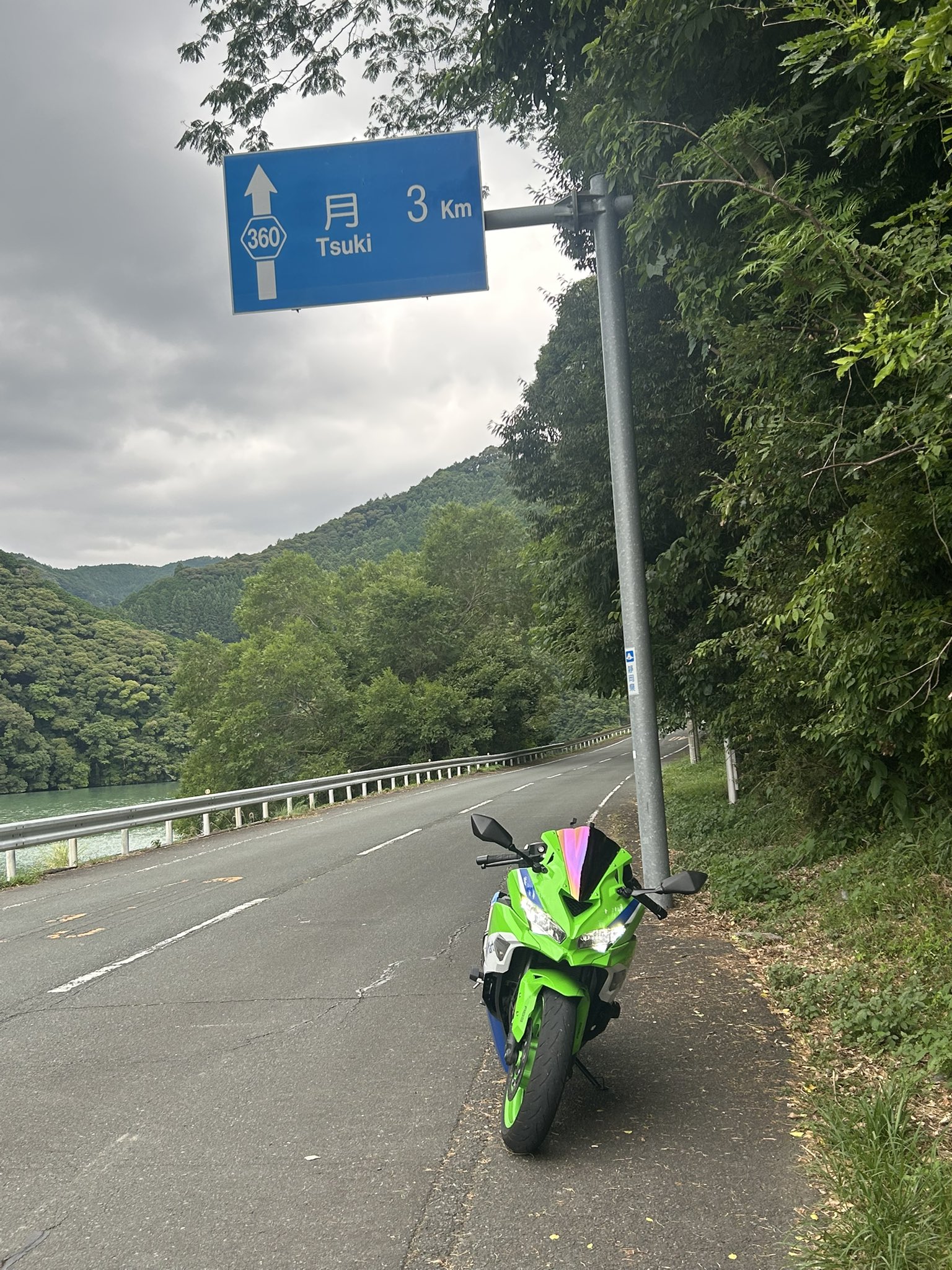 ゆうページです♡ momose MT-OSAKAZAKURA'25/E （Canal Deep BLU-VGR）#20602