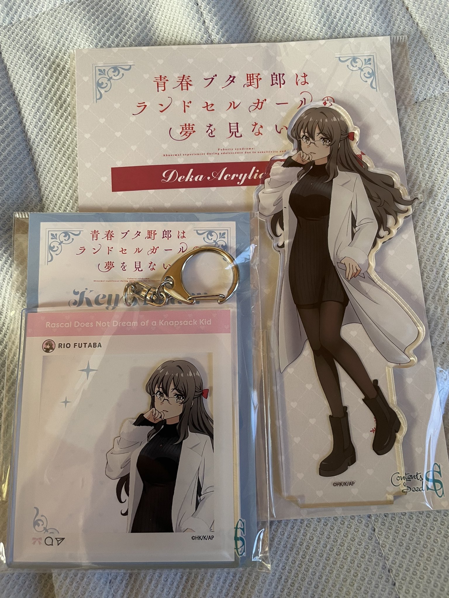 最終お値下 アルベロベロ ぶたさん不思議の国のアリス柄 ナイロン♡まとめOK2？ 不思議の国のアリス ルイス・キャロルとふたりのアリス (求竜堂