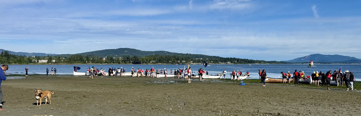 HowardTranYVR's tweet image. Indigenous canoe culture and protocol are a powerful vessel for reconciliation, rooted in ceremony &amp;amp; teachings. 

Grateful to our host Nations, elders, youth &amp;amp; knowledge keepers like @sempulyan for guiding this work. 

#VPD canoe Nchu ‘7mut.  One heart. One mind. #pullingtogether