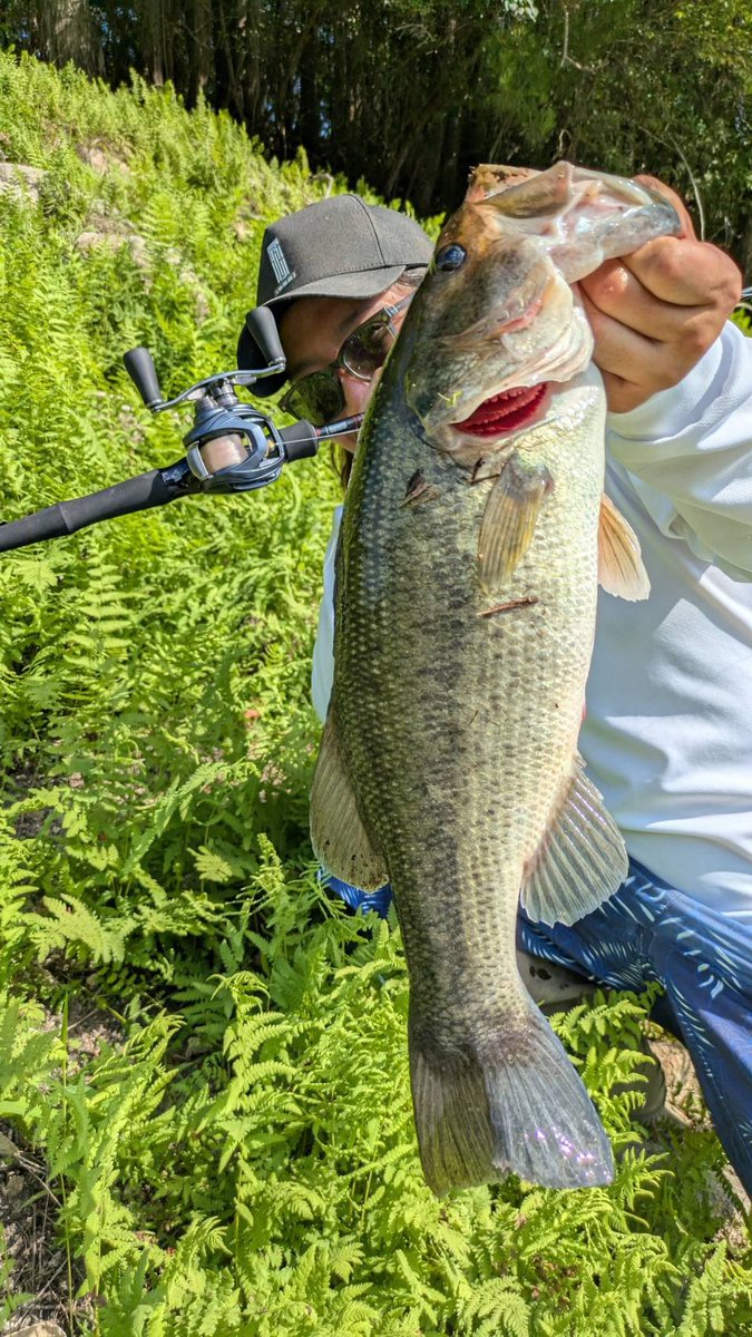 村上晴彦 - Search / X