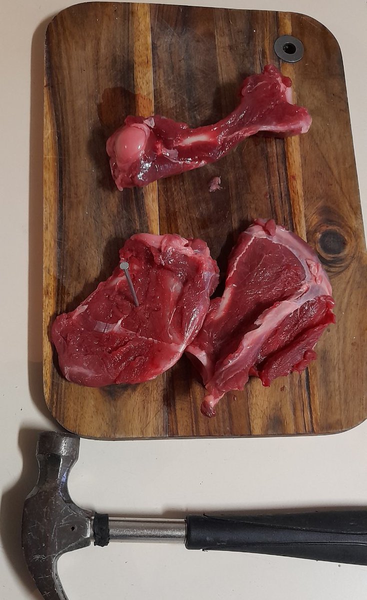 NZ son "What are u up to?"

You really want to know?

"Yeah" (grandkids - "we wanna no oh so !") 

Ok. I'm nailing holes in kangaroo shoulder bones so I can wire them up to film a mystery carnivore.

"You're Sesame St grandma...
Not like the others" 
🤣😊