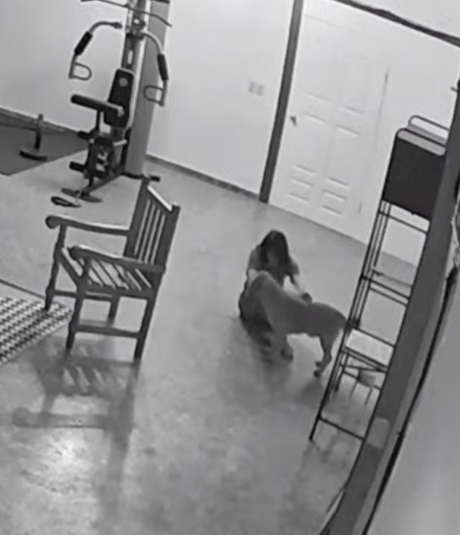 The freeloader is chill