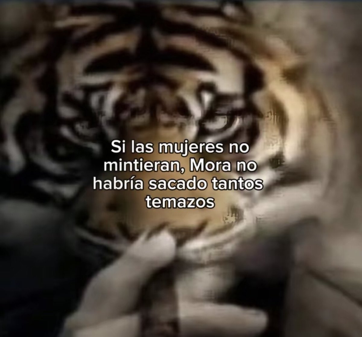 Elioooo🤟🏽 tweet media